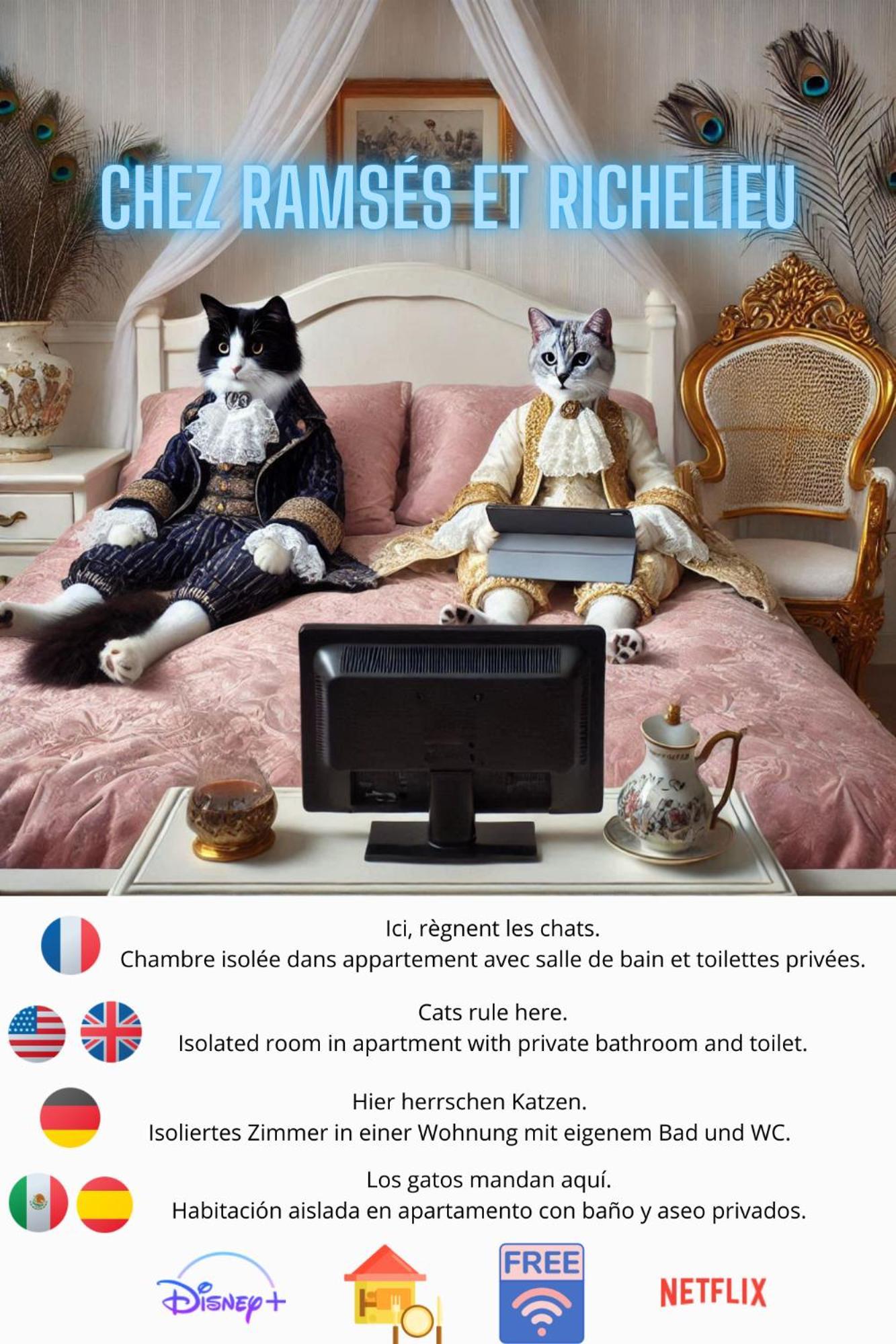 Chez Ramses Et Richelieu Bed & Breakfast Pau Eksteriør bilde